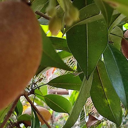 Vivaresidence Homestay Alappuzha Экстерьер фото