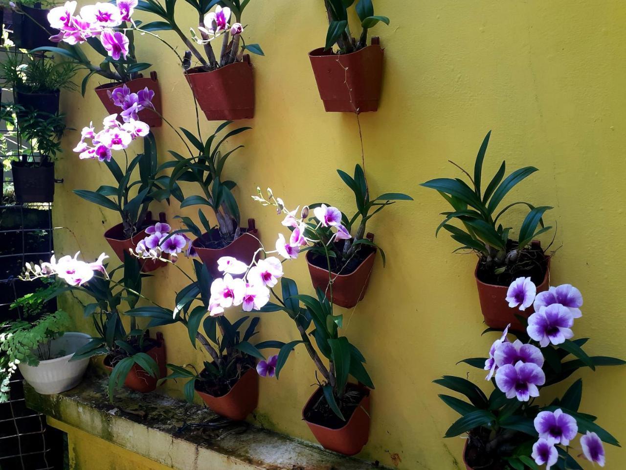Vivaresidence Homestay Alappuzha Экстерьер фото