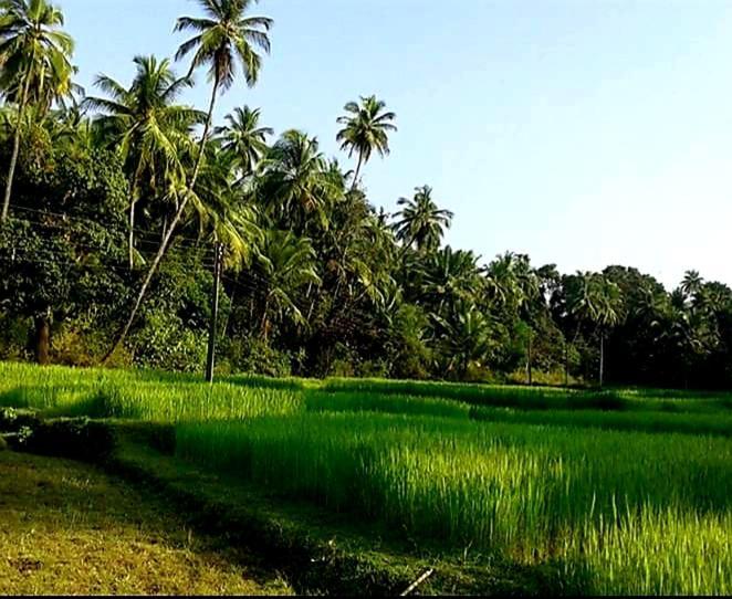 Vivaresidence Homestay Alappuzha Экстерьер фото